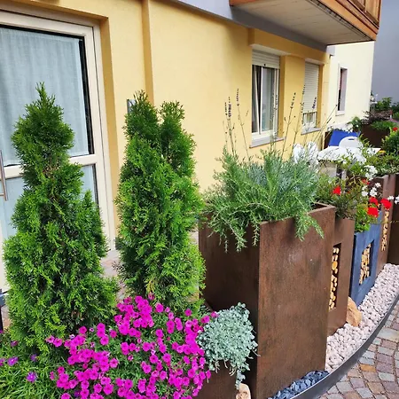Residenza Alba-3